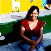 Docente de Dibujo e Ilustración